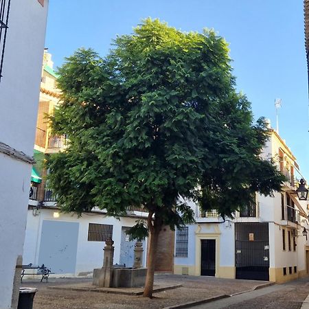Апартаменти Terraza De La Axerquia Кордова Екстер'єр фото